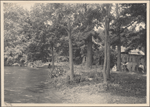 Spinning Mill, Cold Spring, L.I.