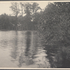 Unidentified body of water in Cold Spring Harbor, L.I.