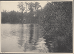 Unidentified body of water in Cold Spring Harbor, L.I.