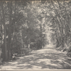 Boy sitting along dirtroad in Cold Spring Harbor, L.I.