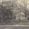 Unidentified shed in Port Washington, L.I.