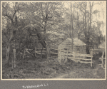 Unidentified shed in Port Washington, L.I.