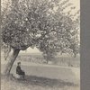 Winifred Dove in Little Neck, L.I.