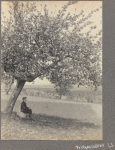 Winifred Dove in Little Neck, L.I.