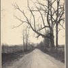 Unidentified dirt road in Locust Valley, L.I.