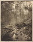 Brook spring, Port Washington, L.I.