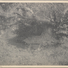 Port Washington, L.I., Beech Spring