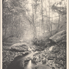 Unidentified stream in Port Washington, N.Y.