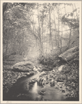 Unidentified stream in Port Washington, N.Y.