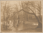 Paerdegat Brook, Foster Ave, Brooklyn