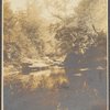 Close-up of brook, Beaver Kill, Sullivan County, N.Y.