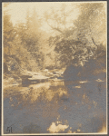 Close-up of brook, Beaver Kill, Sullivan County, N.Y.