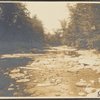Brook distance, Beaver Kill, Sullivan County, N.Y.
