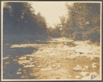 Brook distance, Beaver Kill, Sullivan County, N.Y.