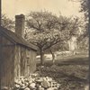 Cold Spring, Valley Road, L.I.