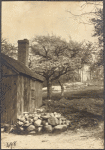 Cold Spring, Valley Road, L.I.