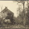 Apple blossoms, forsythia, old cabin on top of a hill in West Hills, L.I.