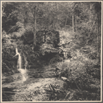 Bushkills Falls, Sull. Co., N.Y.