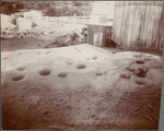 Back at "Bate's Station," (44 Mortars), Fresno Co. Cal.