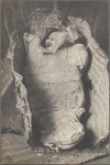 Mummy Cliff-dwellers, Arizona