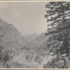 Rocky Mountains, Ophir, Col.