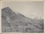 Rocky Mountains, Ophir, Col.