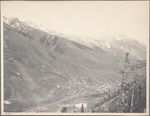 Rocky Mountains, Ophir, Col.