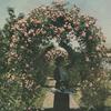 Frances Hodgson Burnett in garden