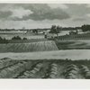 Art Exhibits - American Art Today - Works of Art - Minnesota Farm (Sydney Fossum)