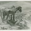 Art Exhibits - American Art Today - Works of Art - Takin' Five (E.J. Bird)