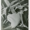Art Exhibits - American Art Today - Works of Art - Accident in the Air (Anton Refregier)