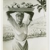 Art Exhibits - International Business Machines (IBM) - Haiti, The Coconut Vender (G. Remponeau