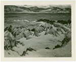 Art Exhibits - International Business Machines (IBM) - Scotland, Iona Sound (Maclauchlan Milne)