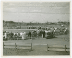 Automobiles - Model - Crowd watching model car race