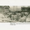 Bakelite Plastics Exhibit - Mural on animal fats