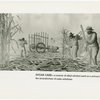 Bakelite Plastics Exhibit - Mural on sugar cane