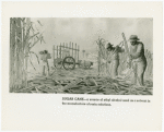 Bakelite Plastics Exhibit - Mural on sugar cane