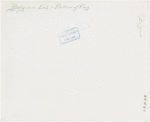 Belgium Participation - Portraits of King and family