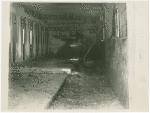 Borden - Stable in 1907