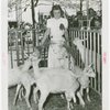 Borden - Woman with goats