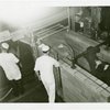 Borden - Cows - Two cows in pen