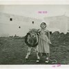Borden - Cows - Girl and calf