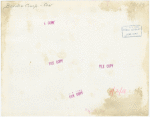 Borden - Cows - Girl and calf