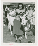 Borden - Cows - Woman and cow with crown