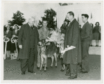 Borden - Cows - Harvey Gibson and cows
