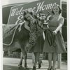 Borden - Cows - Elsie - With bridesmaids