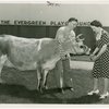 Borden - Cows - Elsie - At Washington State Exhibit