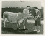 Borden - Cows - Elsie - At Washington State Exhibit