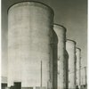 Borden - Cows - Milking - Milk vats
