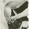Borden - Cows - Milking - Close-up